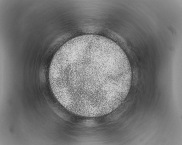 X0000110670114200907241030