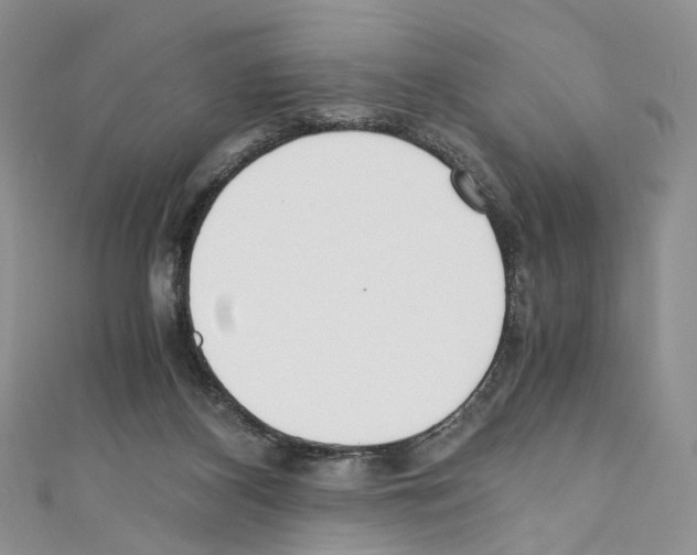 X0000110670116200907241030