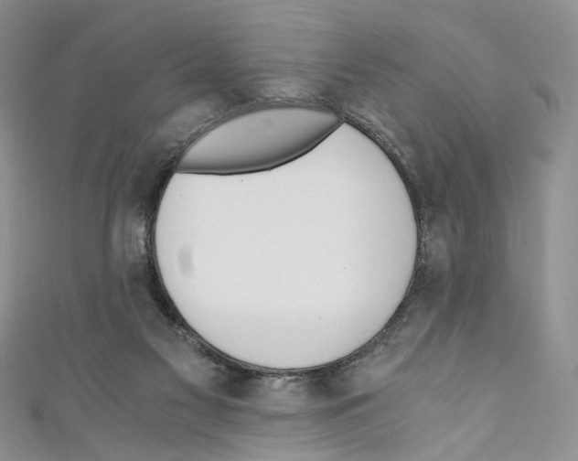 X0000110670117200907241030