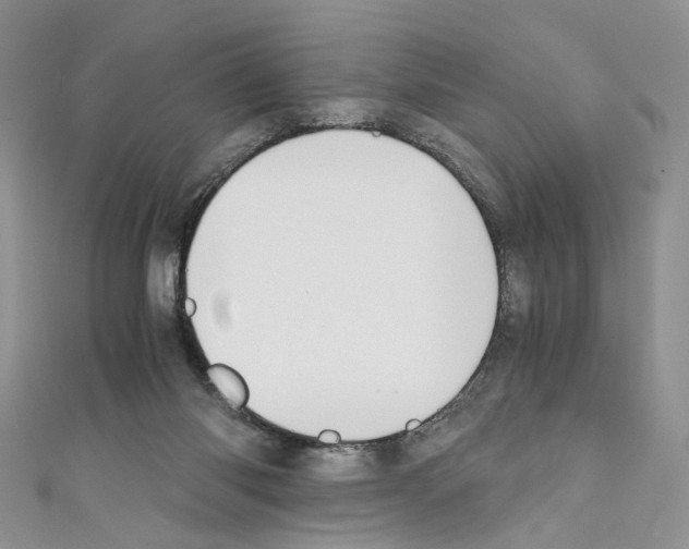 X0000110670118200907241030