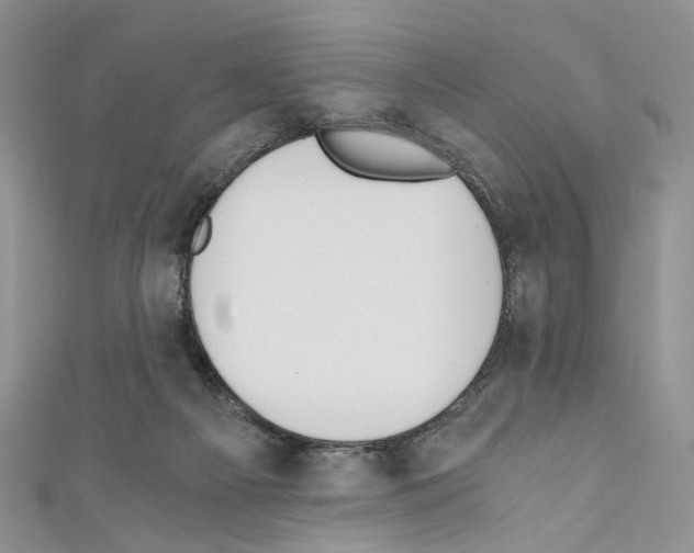 X0000110670121200907241030