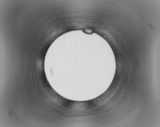 X0000110670123200907241030