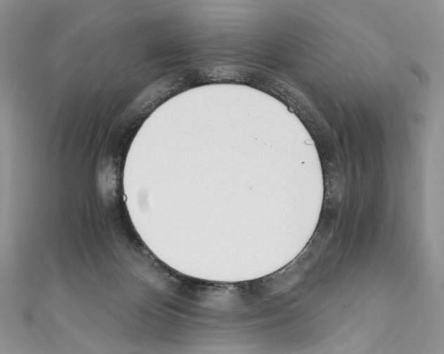 X0000110670124200907241030