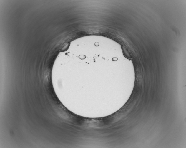 X0000110670125200907241030