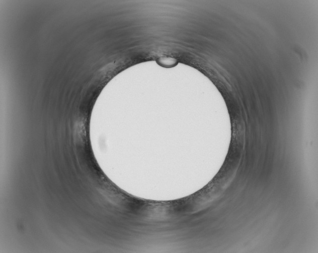 X0000110670127200907241030