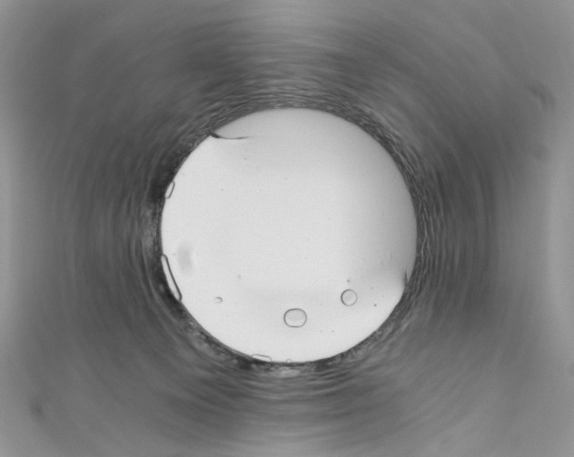X0000110670129200907241030