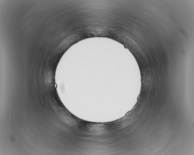 X0000110670132200907241030