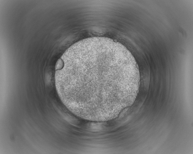 X0000110670134200907241030