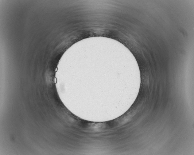 X0000110670135200907241030