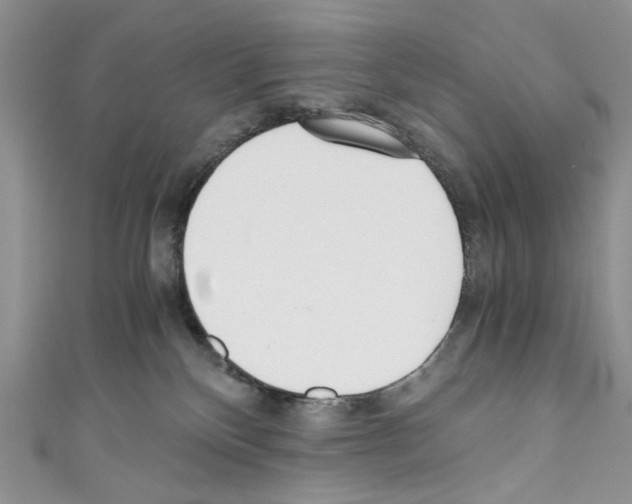 X0000110670136200907241030