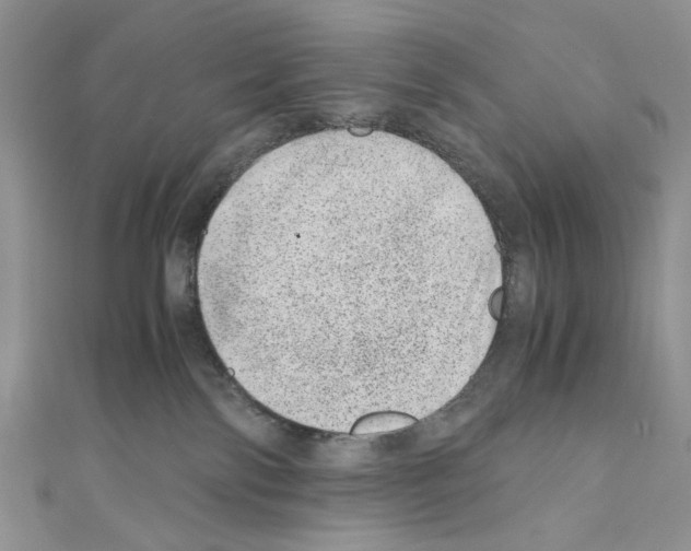 X0000110670138200907241030