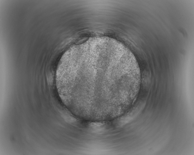 X0000110670139200907241030