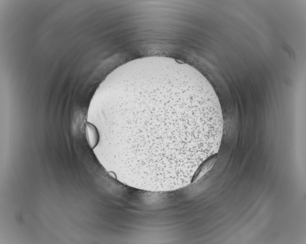 X0000110670142200907241030