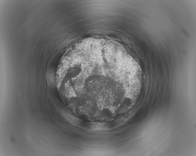 X0000110670143200907241030