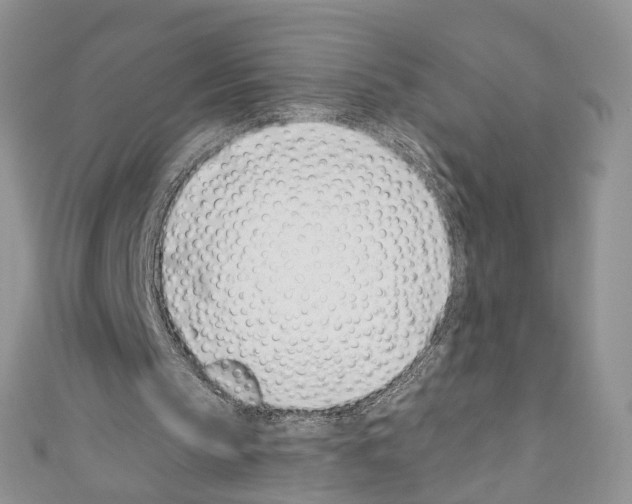 X0000110670145200907241029