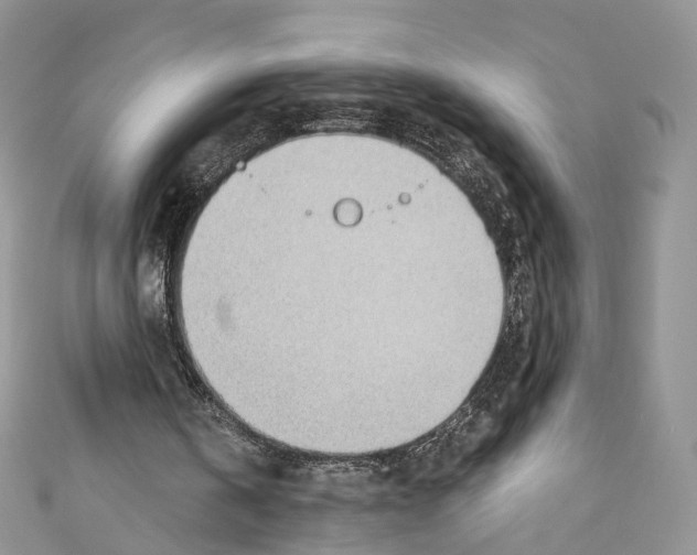 X0000110670146200907241029