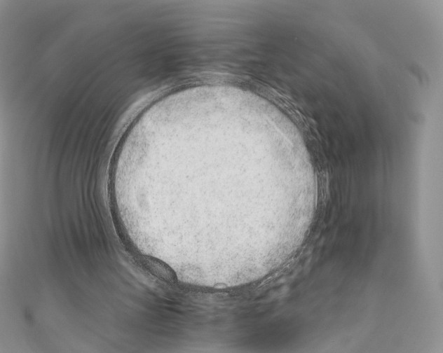 X0000110670147200907241029