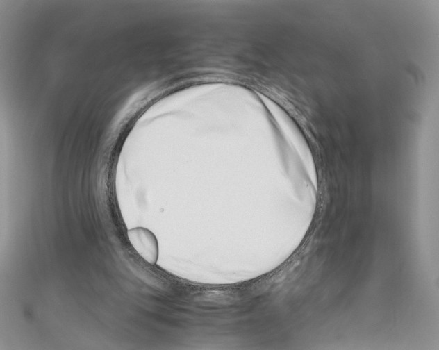 X0000110670151200907241029