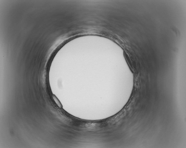 X0000110670152200907241029