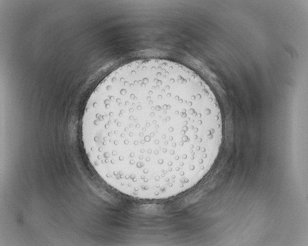 X0000110670153200907241029