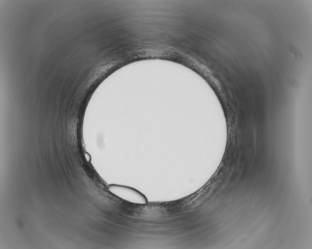 X0000110670154200907241029