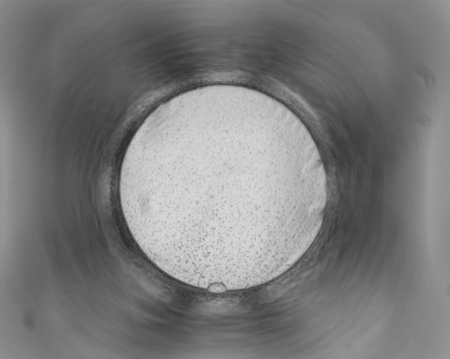 X0000110670155200907241029