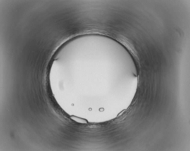 X0000110670156200907241029