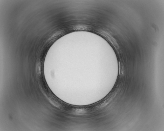 X0000110670157200907241029