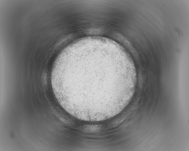 X0000110670161200907241029