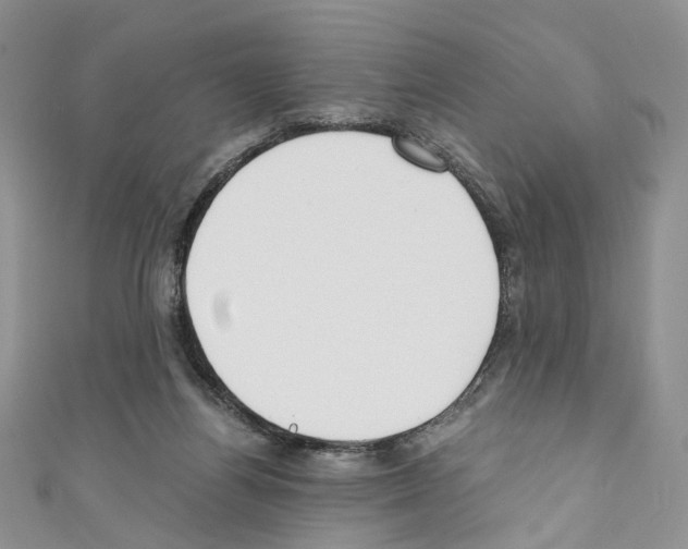 X0000110670164200907241030