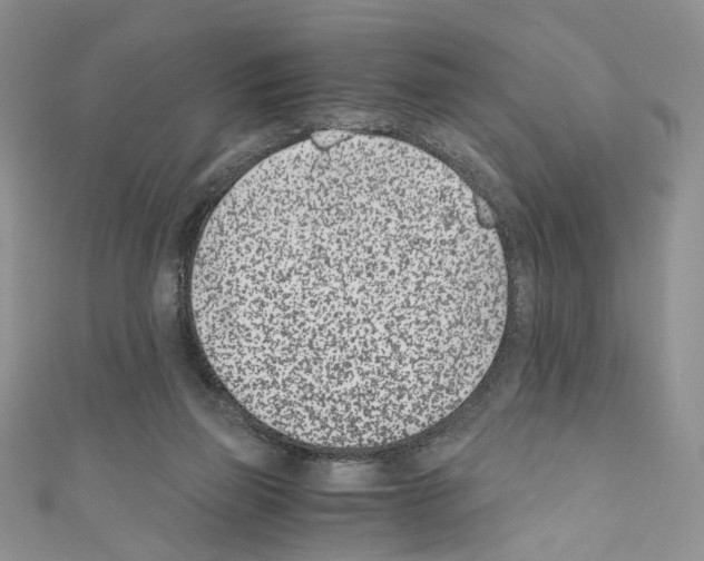 X0000110670165200907241030