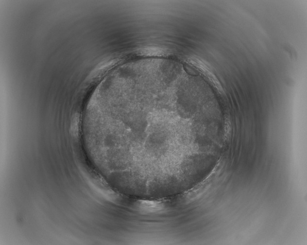 X0000110670167200907241030