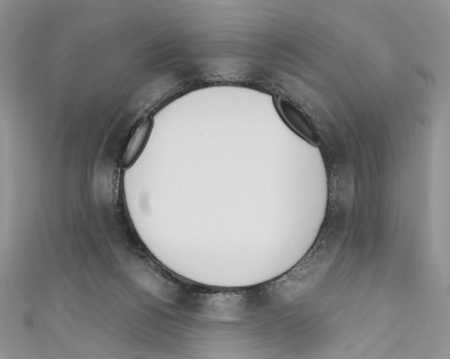 X0000110670168200907241030
