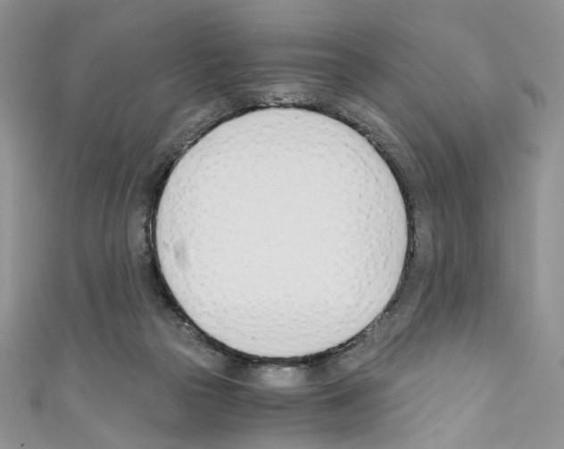 X0000110670169200907241030