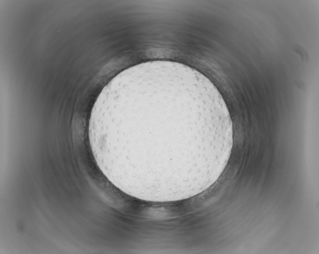 X0000110670171200907241030