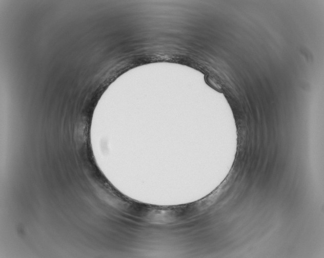X0000110670174200907241030