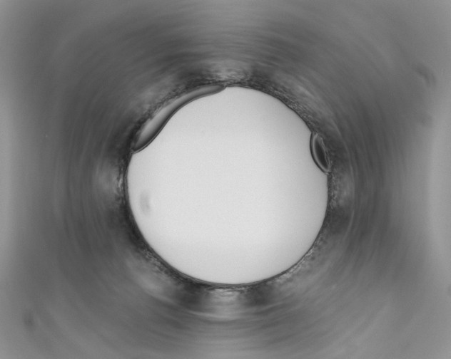 X0000110670176200907241030