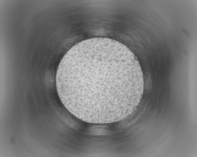 X0000110670179200907241030