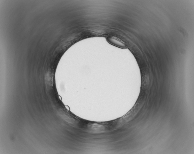 X0000110670180200907241030