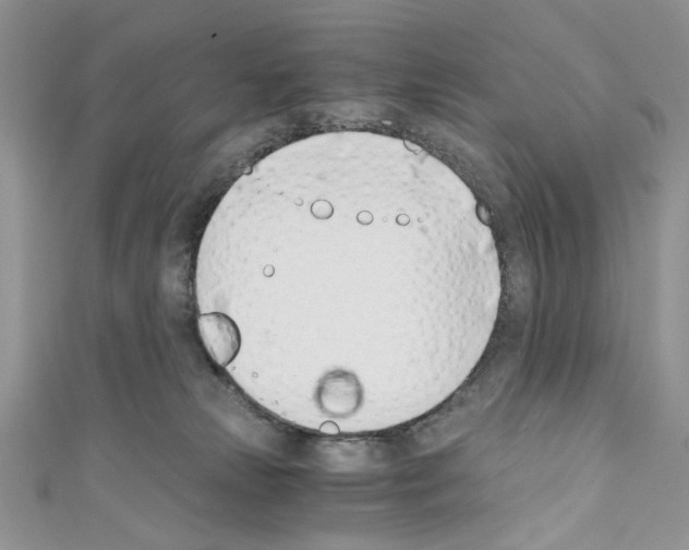 X0000110670181200907241030