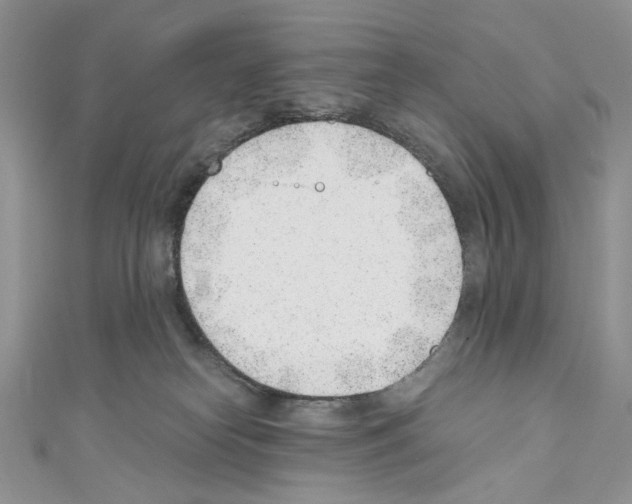 X0000110670182200907241030