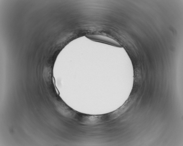 X0000110670184200907241030