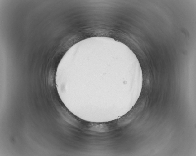 X0000110670185200907241030