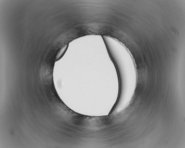 X0000110670186200907241030