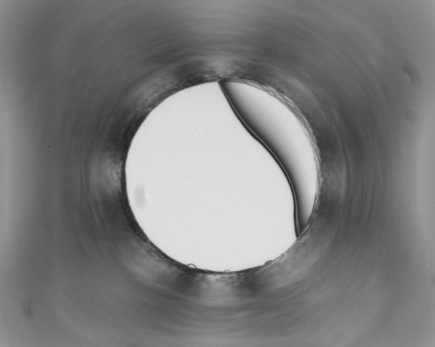 X0000110670188200907241030