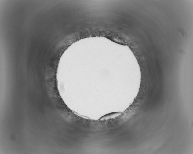 X0000110670192200907241030
