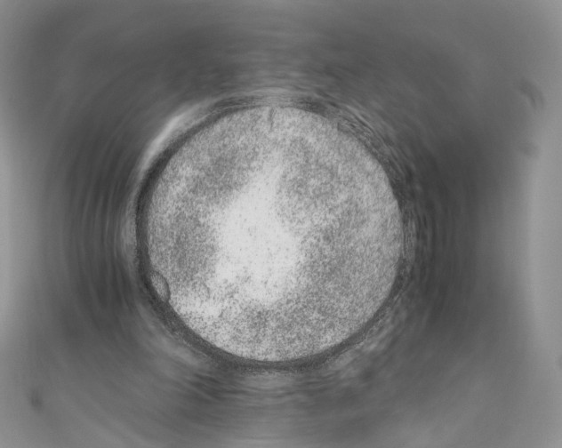 X0000110670198200907241029