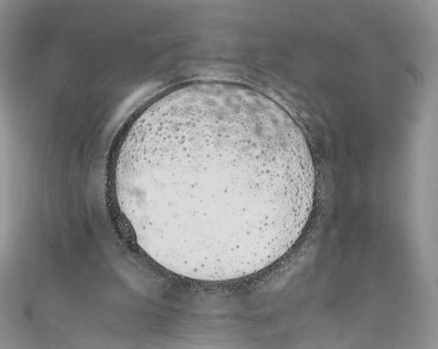 X0000110670199200907241029