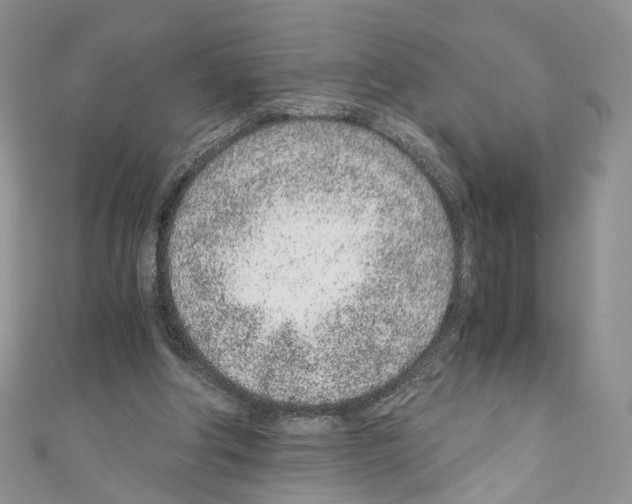 X0000110670202200907241029