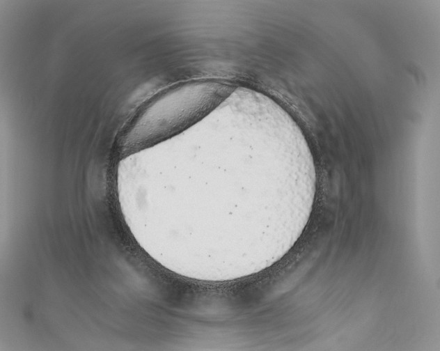 X0000110670203200907241029